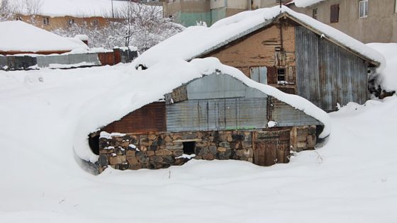 الثلوج تبتلع المنازل في بينغول