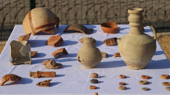 بالفيديو: عمرها أكثر من 9000 سنة… العثور على مئات القطع الأثرية في هذه الولاية