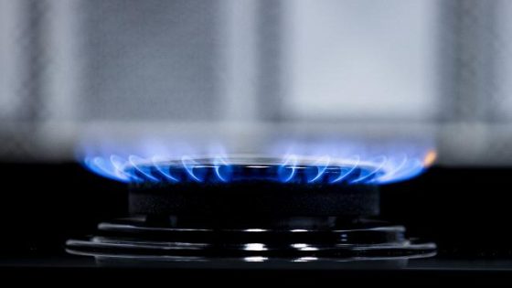 هيئة سوق الطاقة تحسم الجدل بخصوص ارتفاع سعر الغاز