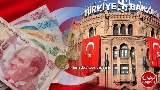 البنك المركزي التركي والليرة التركية