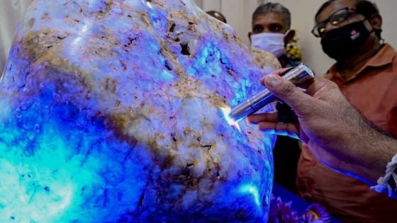 بالصدفة.. اكتشاف أكبر حجر ياقوت أزرق طبيعي في العالم بوزن 683 رطلاً (فيديو)