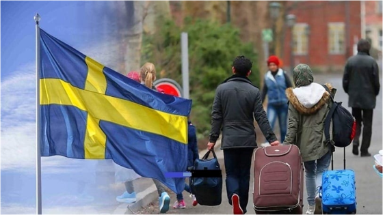لعام “2021”… احصائيات جديدة تكشف عدد السوريين الحاصلين على الجنـ.ـسية السويدية