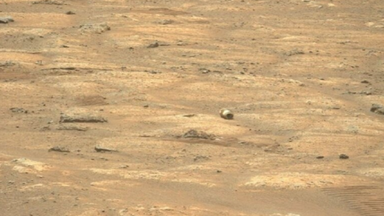 “جسم غامض” شوهد في صورة لمركبة المريخ يحير الجمهور و”ناسا” تشرح ماهيته (صور)
