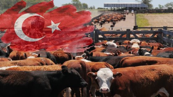 بقطاع الثروة الحيوانية… فرصة استثمارية مغرية في تركيا (فيديو)