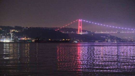 وصول سفينة الشحن الثانية المحملة بزيت دوار الشمس لميناء اسطنبول (فيديو)