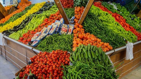 روسيا تعلن رفع نسبة استيراد الخضروات من تركيا بعد إزالة العديد من القيود