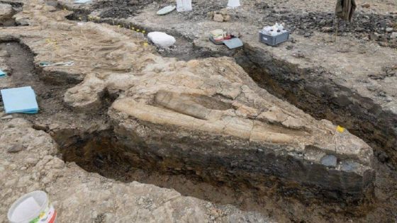 العثور على متحجرات ديناصور بحري عملاق في الصين عاش منذ 250 مليون عام