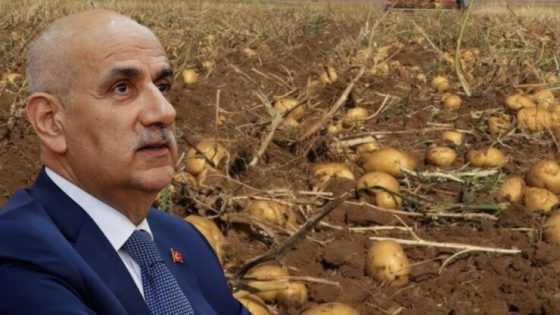 تركيا: تحذيرات من آفة زراعية مسرطنة تصيب محاصيل البطاطا