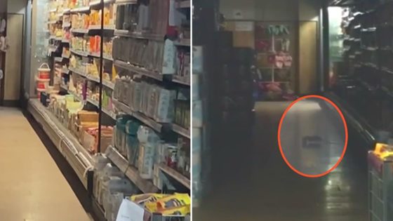 الفئران تتجول بين الألبان والأجبان داخل أحد مراكز التسوق في مدينة اسطنبول (فيديو)
