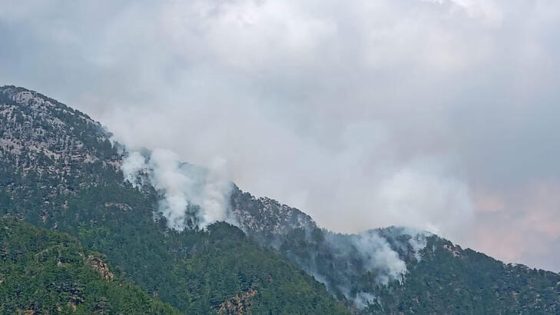 اندلاع حريق في منطفة الغابات بولاية انطاليا