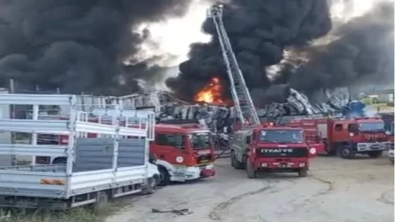 اندلاع حريق كبير في مصنع بلاستيك بولاية كوجالي