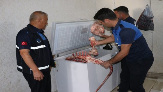 السلطات التركية تضبط كميات كبيرة من اللحوم الفاسدة في شانلي اورفا