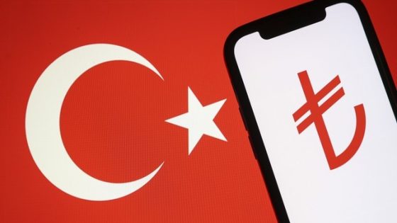 تركيا تستعد لإصدار عملتها الرقمية