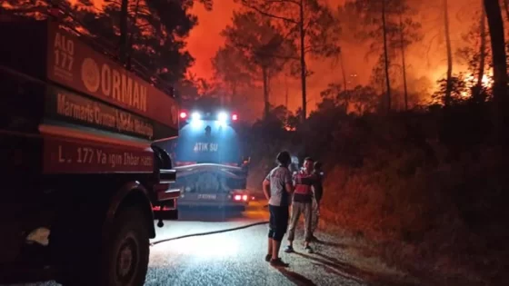 مرماريس.. وزير الداخلية التركي يتوجه إلى منطقة الحرائق وإخلاء 30 منزلاً