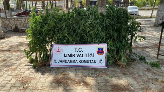 السلطات التركية تضبط كميات كبيرة من المواد الممنوعة في إزمير