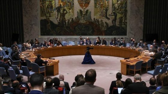 مجلس الأمن الدولي يطالب بتمديد المساعدات الإنسانية من تركيا إلى سوريا