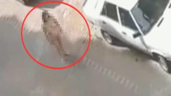 بالفيديو: إمرأة عارية تتجول وسط شوارع ولاية إزميت
