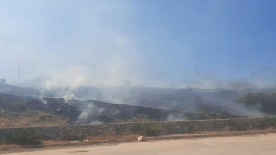 حالة من الذعر بين المواطنين نتيجة اندلاع حريق في موغلا