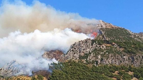 عاجل:3 ولايات تركية تشهد اندلاع حرائق في الغابات بنفس الوقت