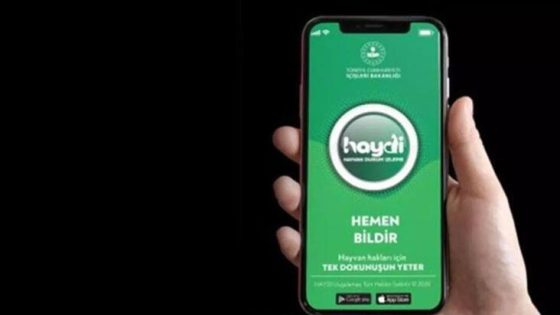 تطبيق هايدي التركي للتبليغ عن ملوثي البيئة و معنفي الحيوانات