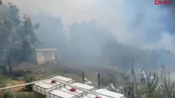 اندلاع حريق في غابات إسطنبول