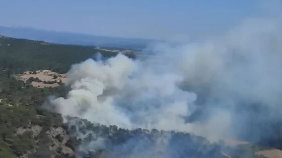 اندلاع حريق في غابات جناق قلعة