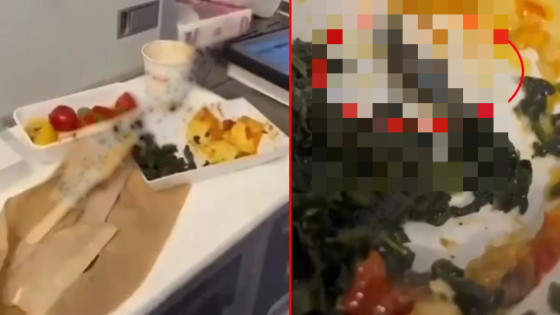 ثعابين صغيرة داخل طعام إحدى الطائرات التركية.. غضب كبير على مواقع التواصل الإجتماعي (فيديو)