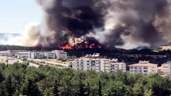 بالفيديو.. حريق ضخم يجتاح غابات ولاية غازي عنتاب وبيان من الوالي