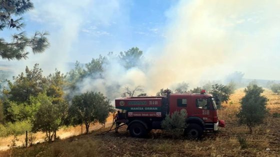 اندلاع حريق كبير في منطقة الغابات بولاية مانيسا