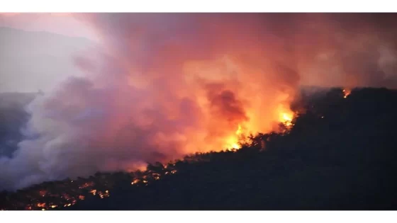 بعد توكات.. حرائق كبيرة تجتاح غابات ولاية موغلا