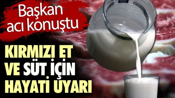 رئيس اتحاد منتجي اللحوم والألبان في تركيا: قد يحدث نقص في منتجات الحليب والبيض في هذا التاريخ..!!