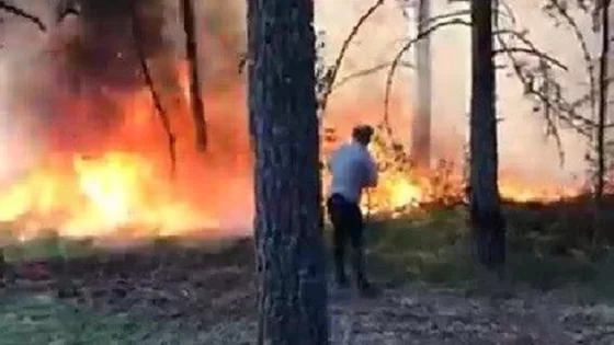 بعد إخمادها سابقاً… تجدد الحرائق في غابات ولاية توكات