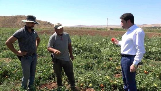 مزارع تركي: لا أستطيع العثور على عمال براتب يومي قدره 220 ليرة تركية وهذا هو عنواني..!