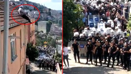 حطموا الأبواب و أخرجوا المواطنين من منازلهم قسرا.. حدث غير مسبوق في اسطنبول يغضب تركيا بأكملها (فيديو)