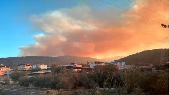 في الساعات الأولى من الصباح.. اندلاع حريق كبير في منطقة الغابات بولاية مرسين
