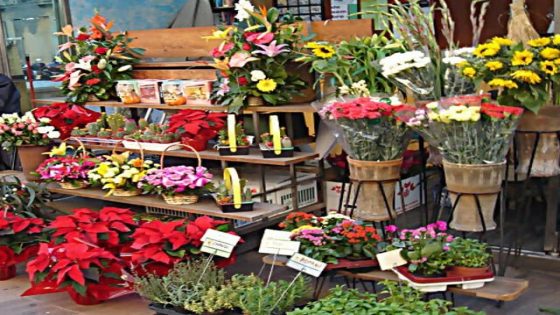 كيف تفتح محل زهور في تركيا ؟