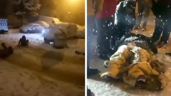 بالفيديو.. كارثة تحل بامرأتين خلال انزلاقهما على الثلوج بولاية أنقرة
