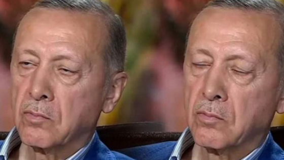 الرئيس أردوغان يغلبه النعاس في بث مباشر (فيديو)