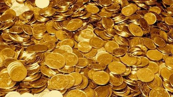 حيوان ذكي يقود مربيه للعثور على أكبر كنز من العملات الذهبية النادرة في وعاء فخاري