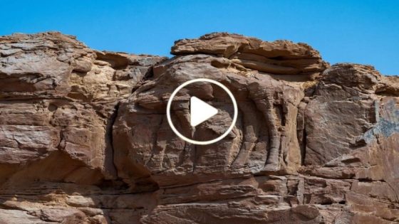 خبراء الآثار يهرعون إلى المكان.. اكتشاف أثري نادر في دولة عربية (فيديو)