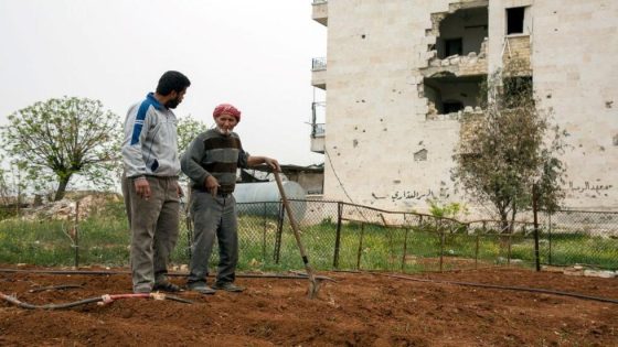 مزارع سوري يزرع عشبة فريدة ومطلوبة بكل بيت جعلته مليونيراً يلعب بالمال والدولارات خلال مدة قصيرة (فيديو)
