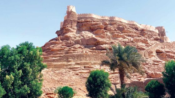 اكتشاف أثري نادر وغير مسبوق في دولة عربية وخبراء الآثار من كل حد وصوب يهرعون إلى المكان (فيديو)