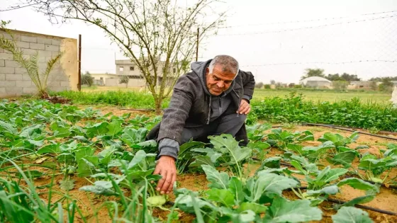 10 دولار للكيلو نبتة تنمو في سوريا تصبح مصدر رزق ويتهافت عليها كبرى