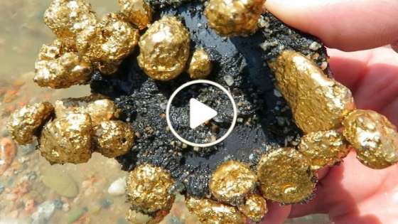 لن تصدق ماستراه!.. إكتشاف كميات كبيرة من الذهب الخام في دولة عربية (فيديو)