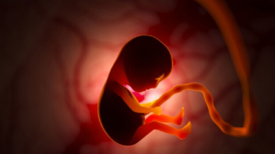 في حادثة نادرة وفريدة من نوعها.. طفل يولد حياً بعد نموه في بطن أمه لمدة 29 أسبوعاً! (تفاصيل صادمة)