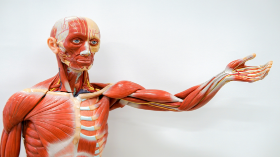 ما مدى معرفتك بجسدك؟… إليك 20 حقيقة عن جسم الإنسان ستفاجئك!