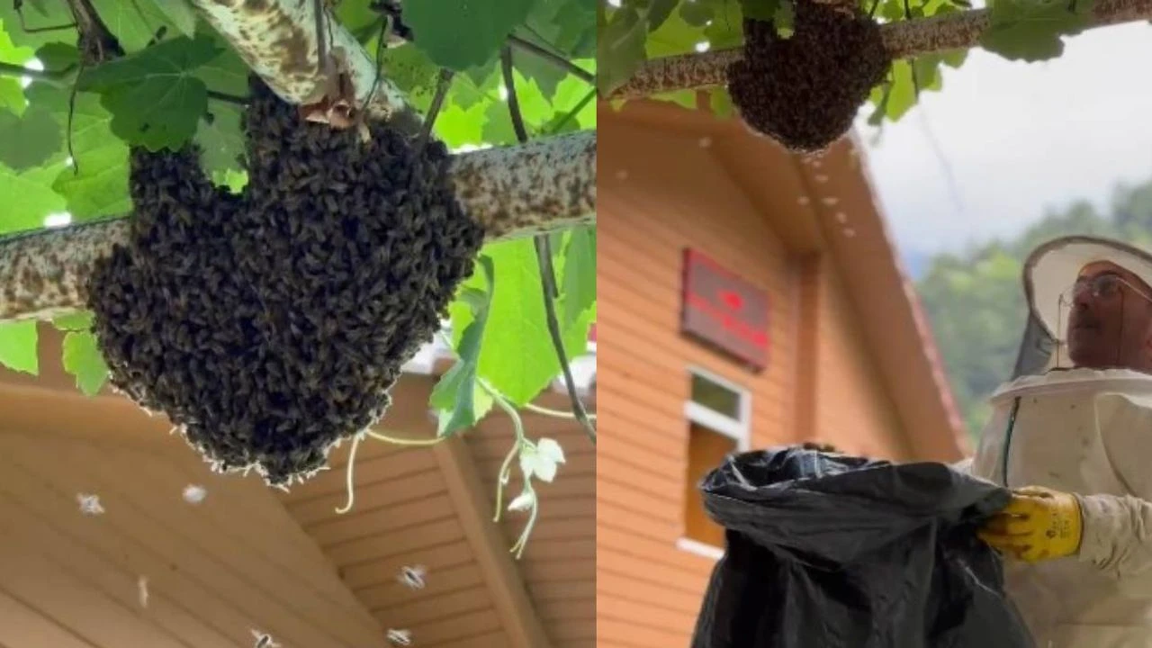 yeni-proje-7-1752478773